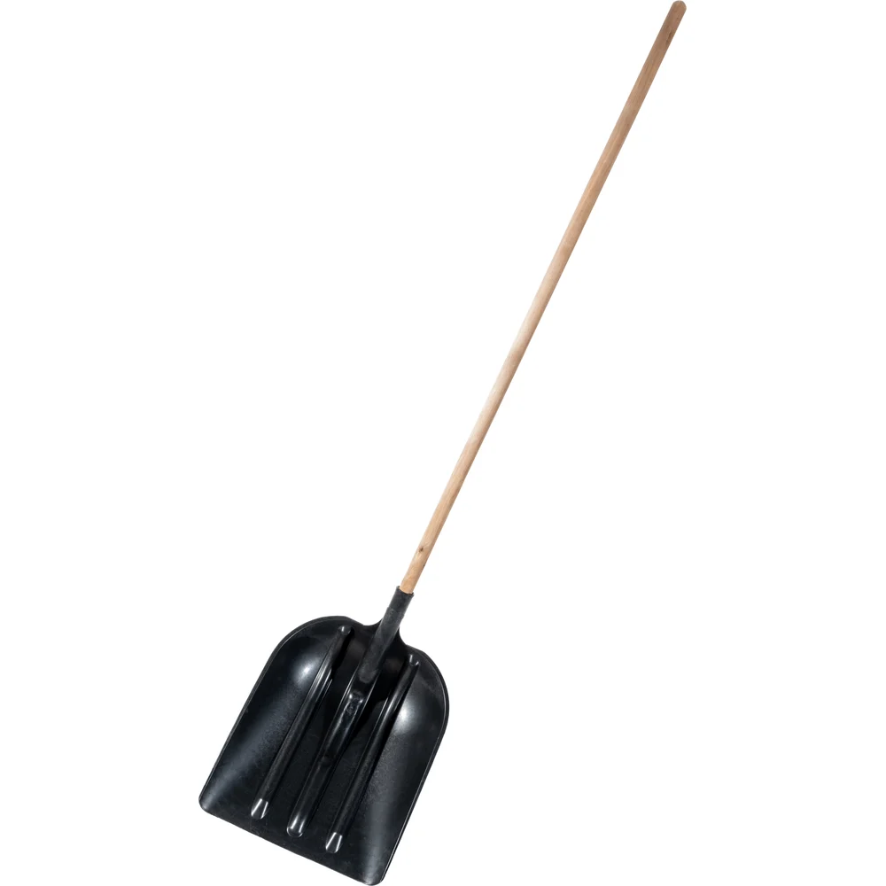 SS-01