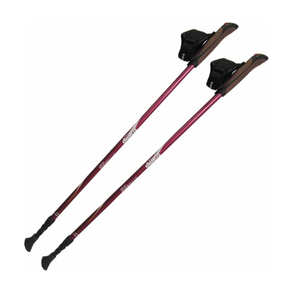 Палки для скандинавской ходьбы Tramp Fitness TRR-0111
