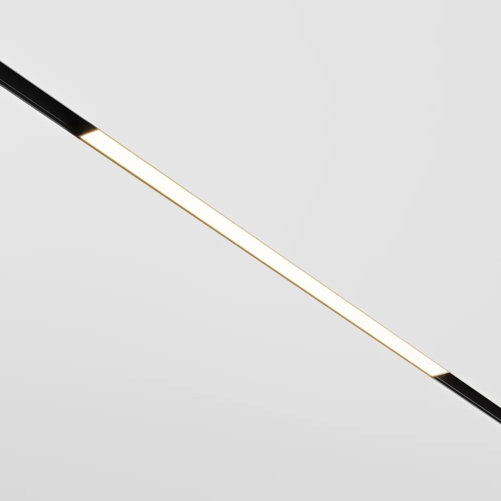 Трековый светильник MAYTONI exility TR030-2-24W3K-B