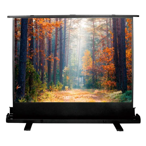 Экран Cactus FloorExpert CS-PSFLE-180X135, 180х135 см, 4:3, напольный