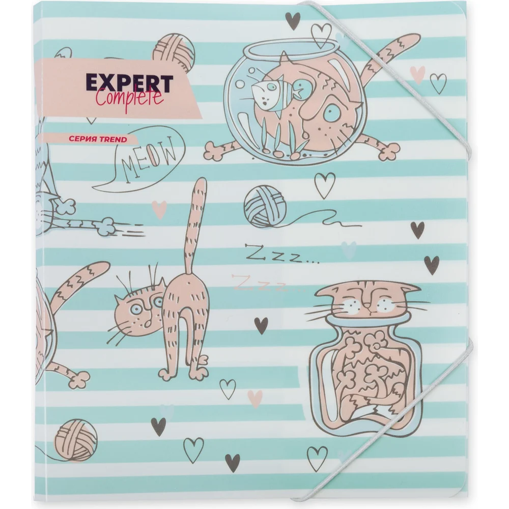 Папка Expert Complete 647673