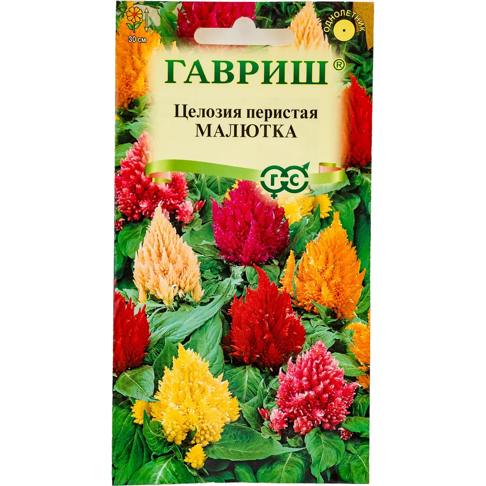 Семена ГАВРИШ 005272