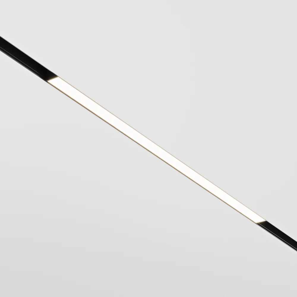 Трековый светильник MAYTONI exility TR030-2-24W4K-B