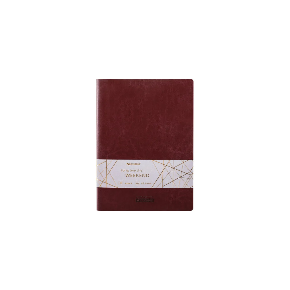 Тетрадь BRAUBERG VIVA 403891