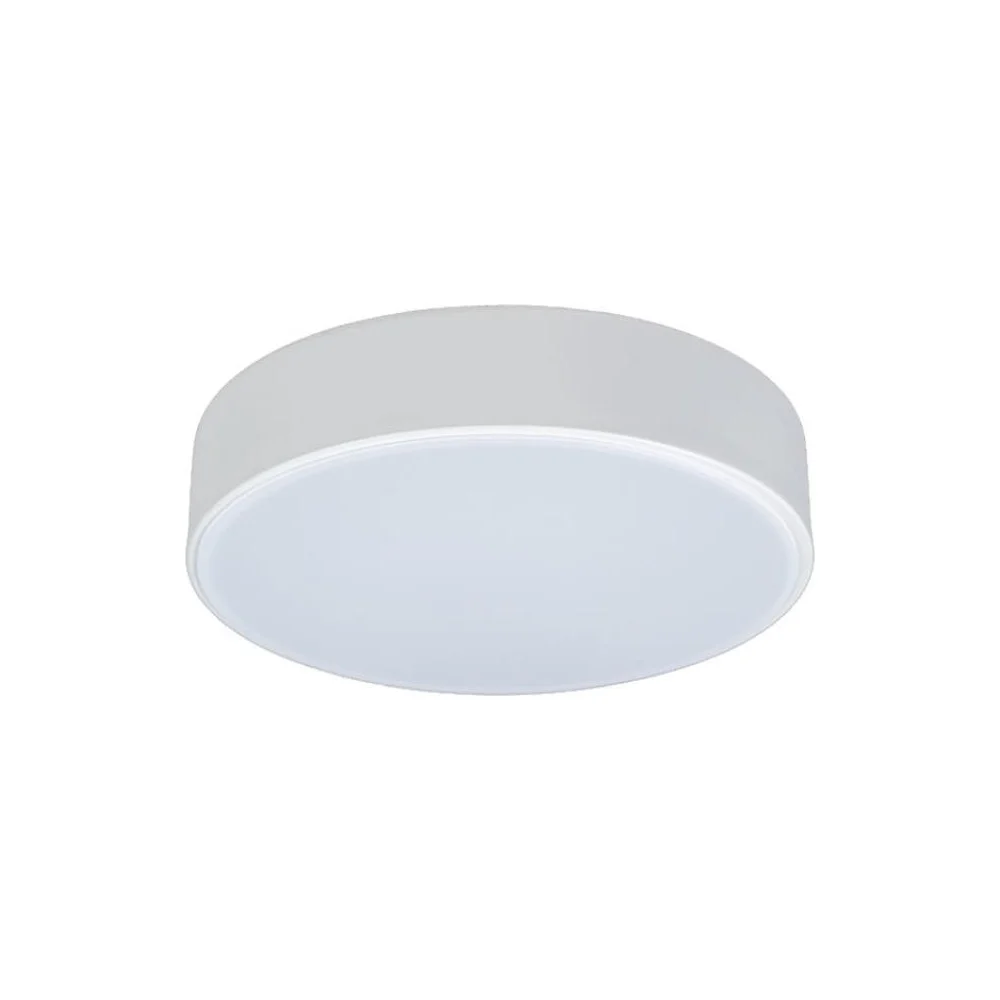 Накладной светильник LOFT IT Axel 1 10002/12 White