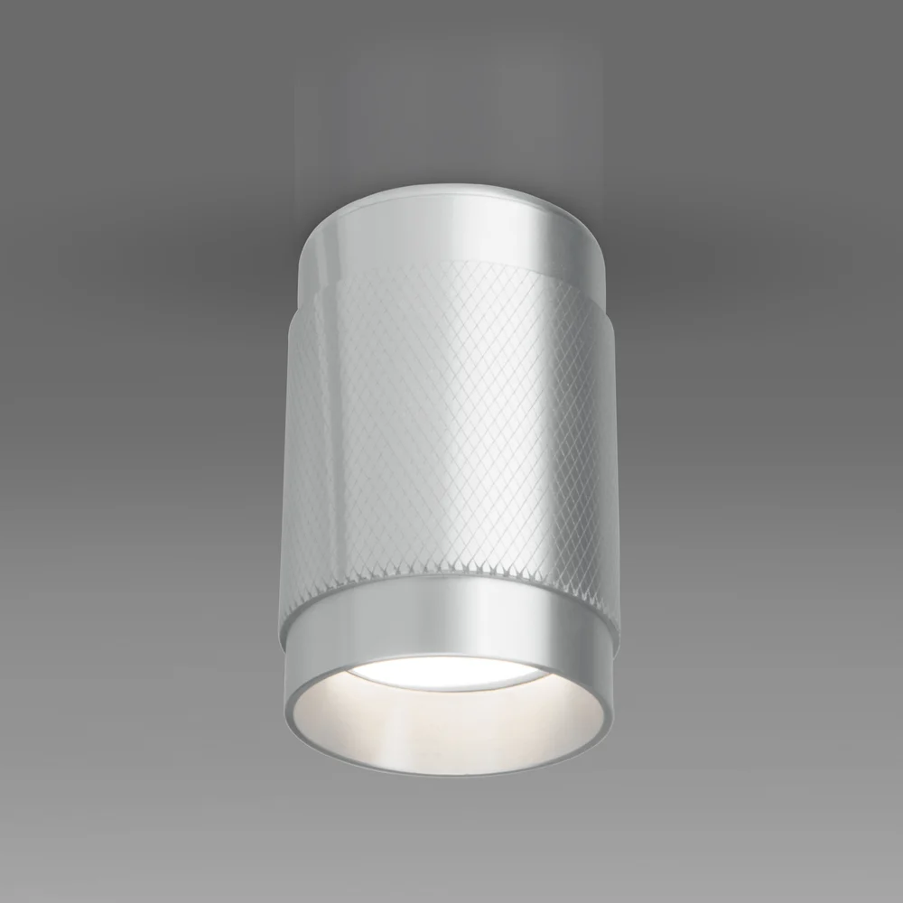 Накладной светильник Elektrostandard DLN109 a047742