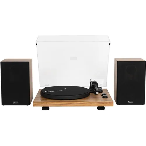 Виниловый проигрыватель REPRODUCTOR RP-LPX500SP, ручной, коричневый [rp-lpx500spok]
