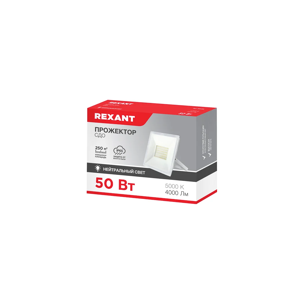 Светодиодный прожектор REXANT 605-026
