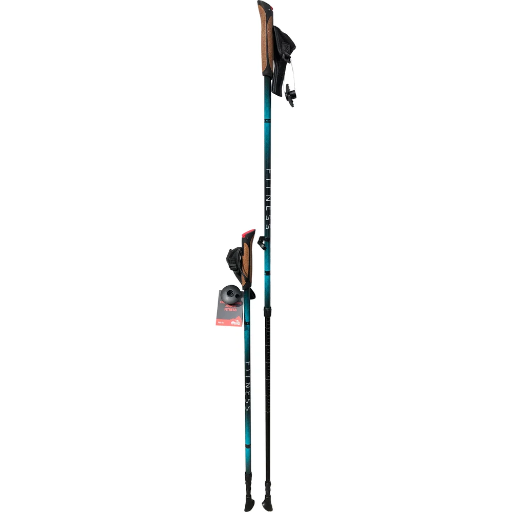 Палки для скандинавской ходьбы Tramp Fitness TRR-011