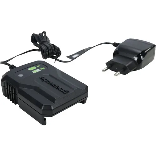 Зарядное устройство GREENWORKS G24UC2 2946207