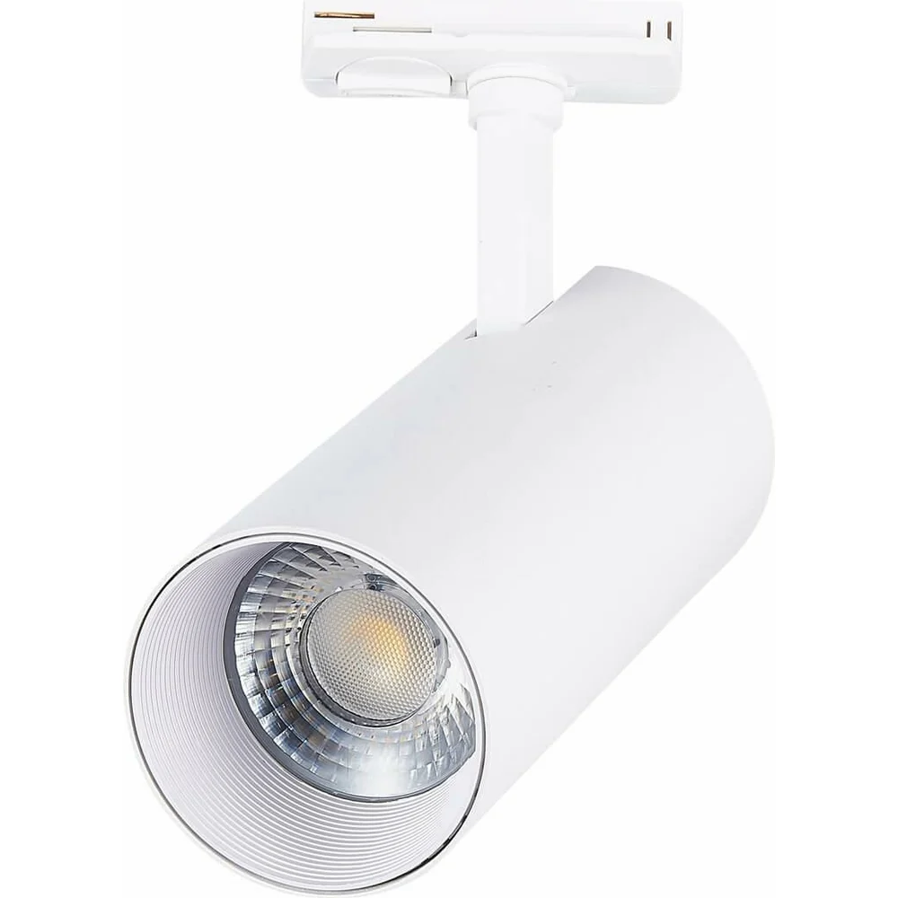 Трековый светильник ST luce MONO ST350.536.20.36