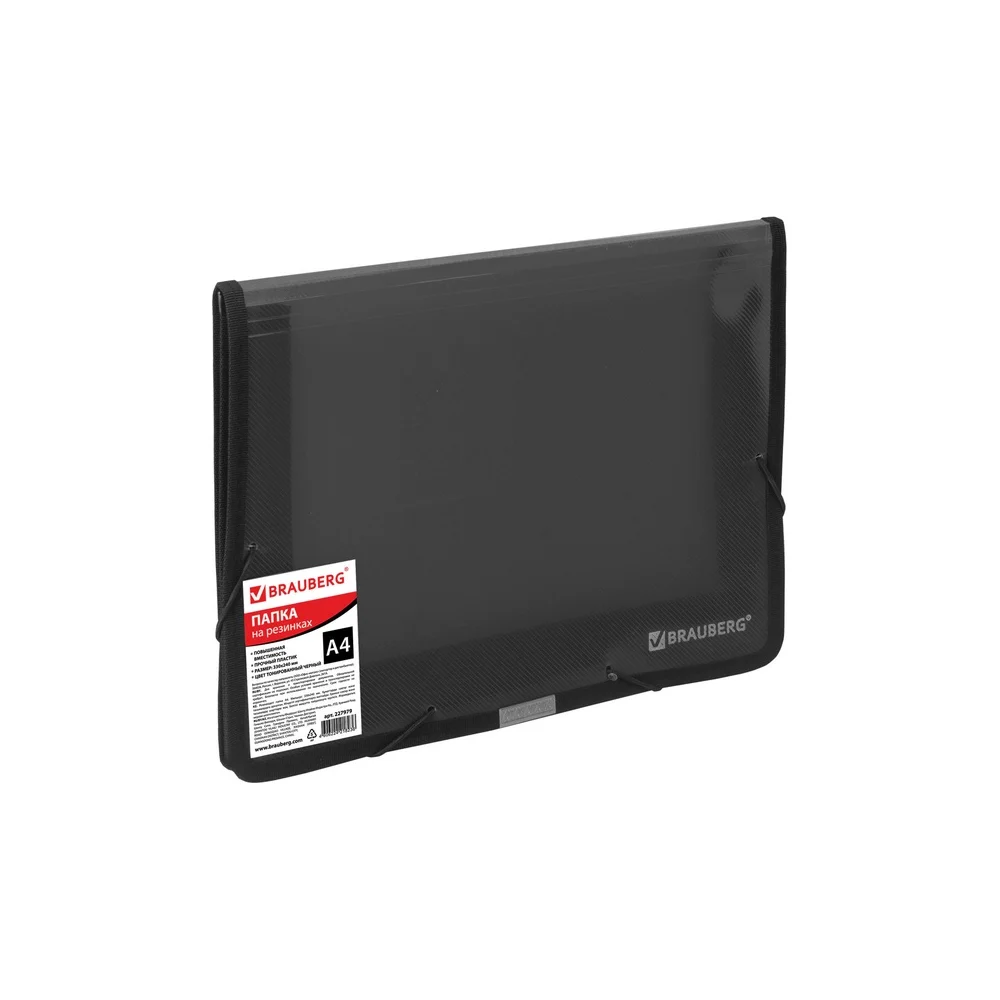 Широкая папка BRAUBERG 227979