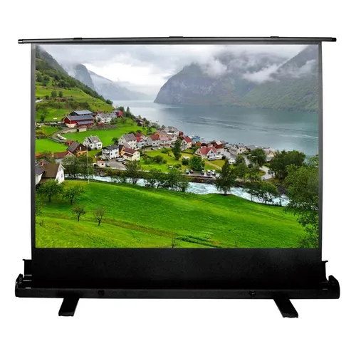 Экран Cactus FloorExpert CS-PSFLE-180X102, 180х102 см, 16:9, напольный