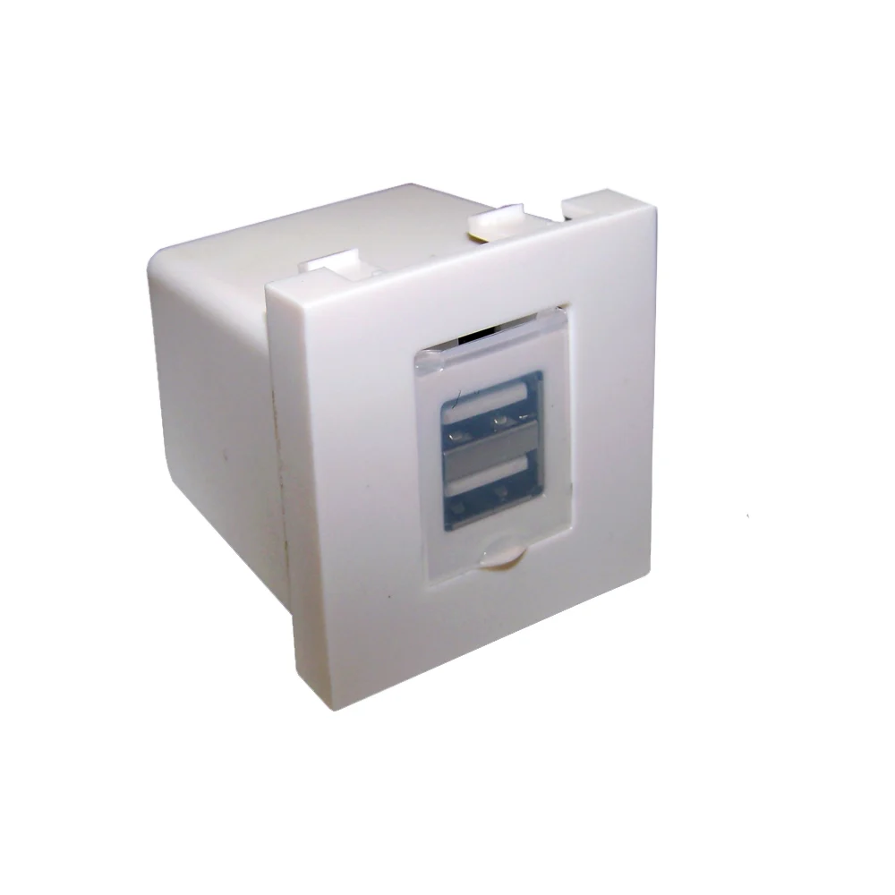 Модуль LANMASTER LAN-EZ45x45-2xUSB-WH