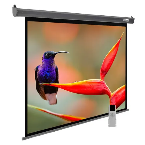 Экран Cactus SIlverMotoExpert CS-PSSME-220X138-DG, 220х138 см, 16:10, настенно-потолочный темно-серый