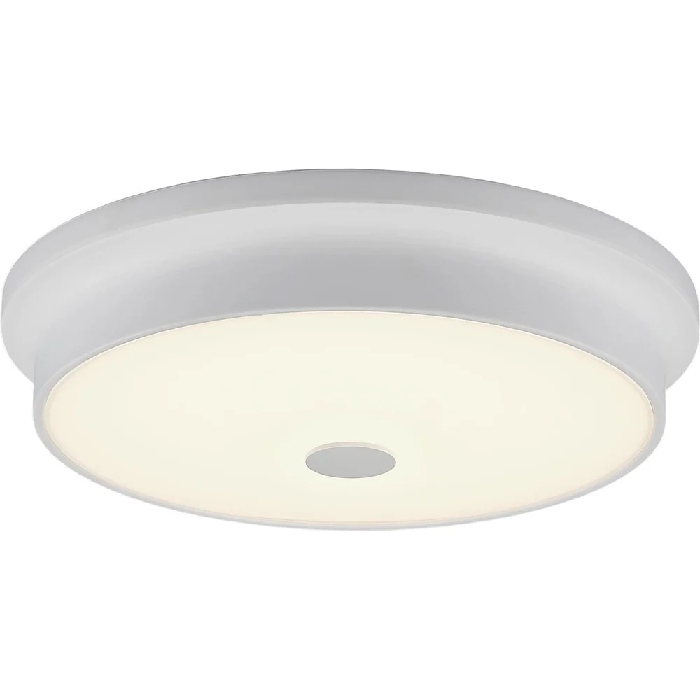 Настенно-потолочный светильник Citilux Фостер-2 CL706230