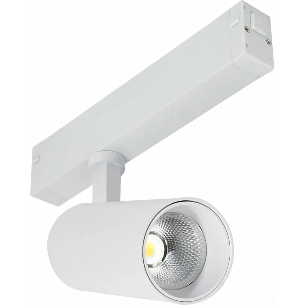 Трековый светильник ST luce ST660.546.20