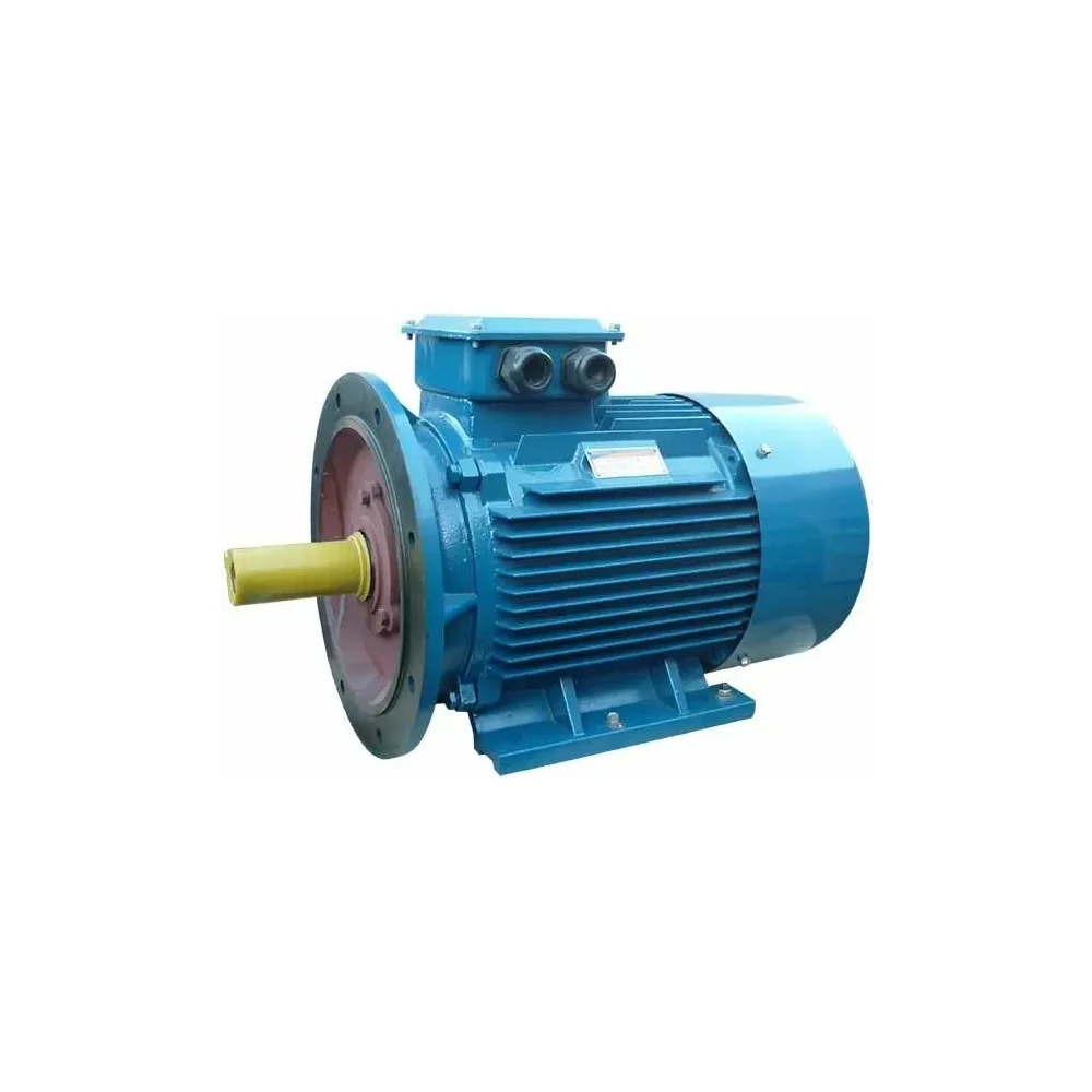Электродвигатель 5АИ 200 L8 22/750 IM 2001 01.01.213654