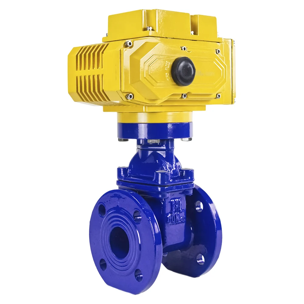 Клиновая задвижка DN.ru 30ч939р 050-16-GGG50-EPDM-F4-BLUE D040-00763