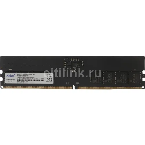 Оперативная память NETAC Basic NTBSD5P56SP-16 DDR5 - 1x 16ГБ 5600МГц, DIMM, Ret, original