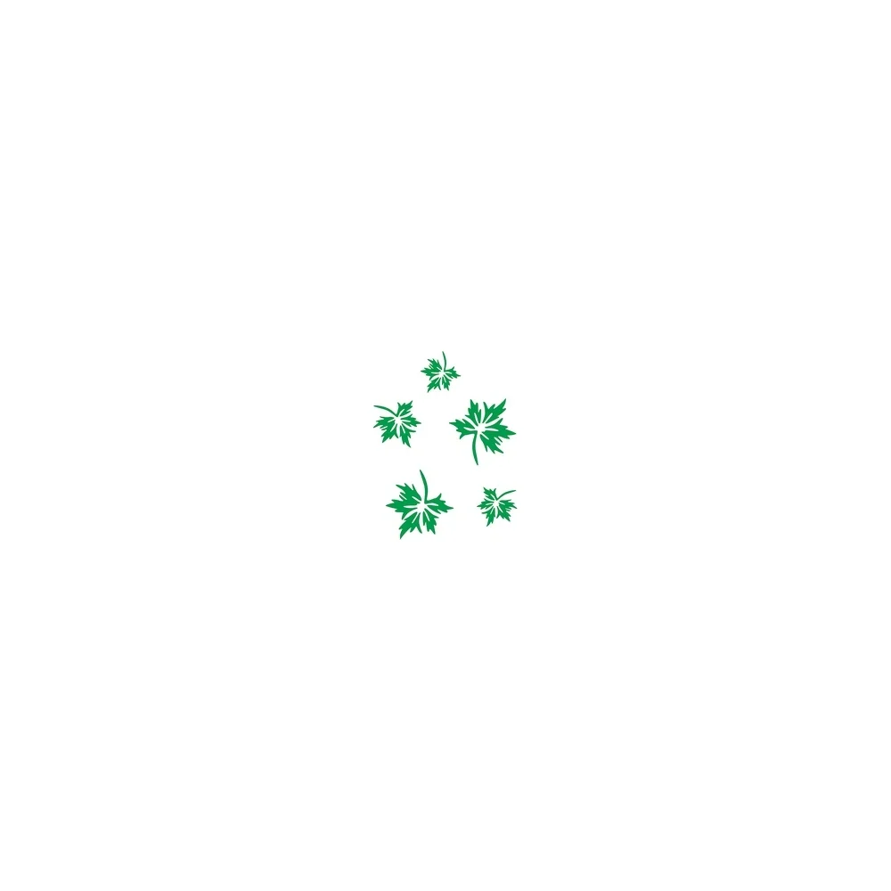 Виниловый трафарет STMDECOR HW-087