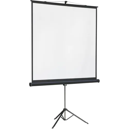 Экран Lumien Master View LMV-100105, 244х244 см, 1:1, напольный