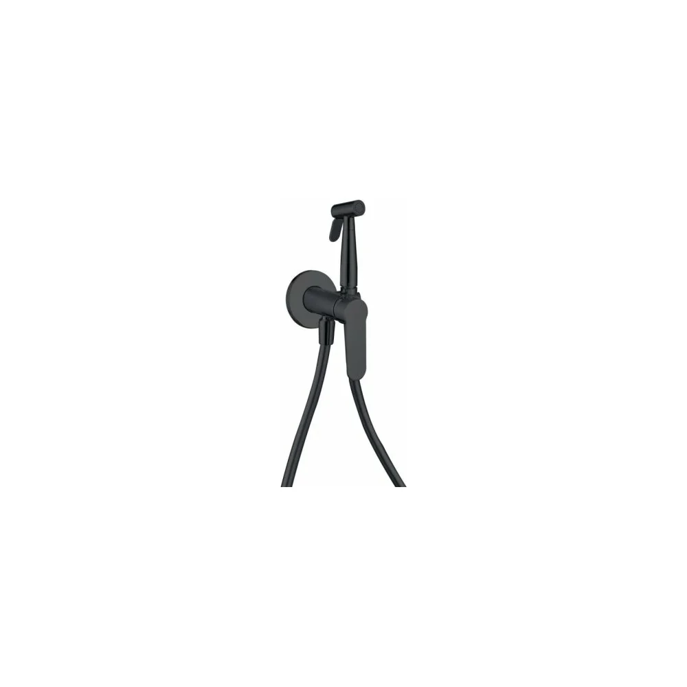 Встроенный смеситель Aquanet AF300-52B Passion 243316
