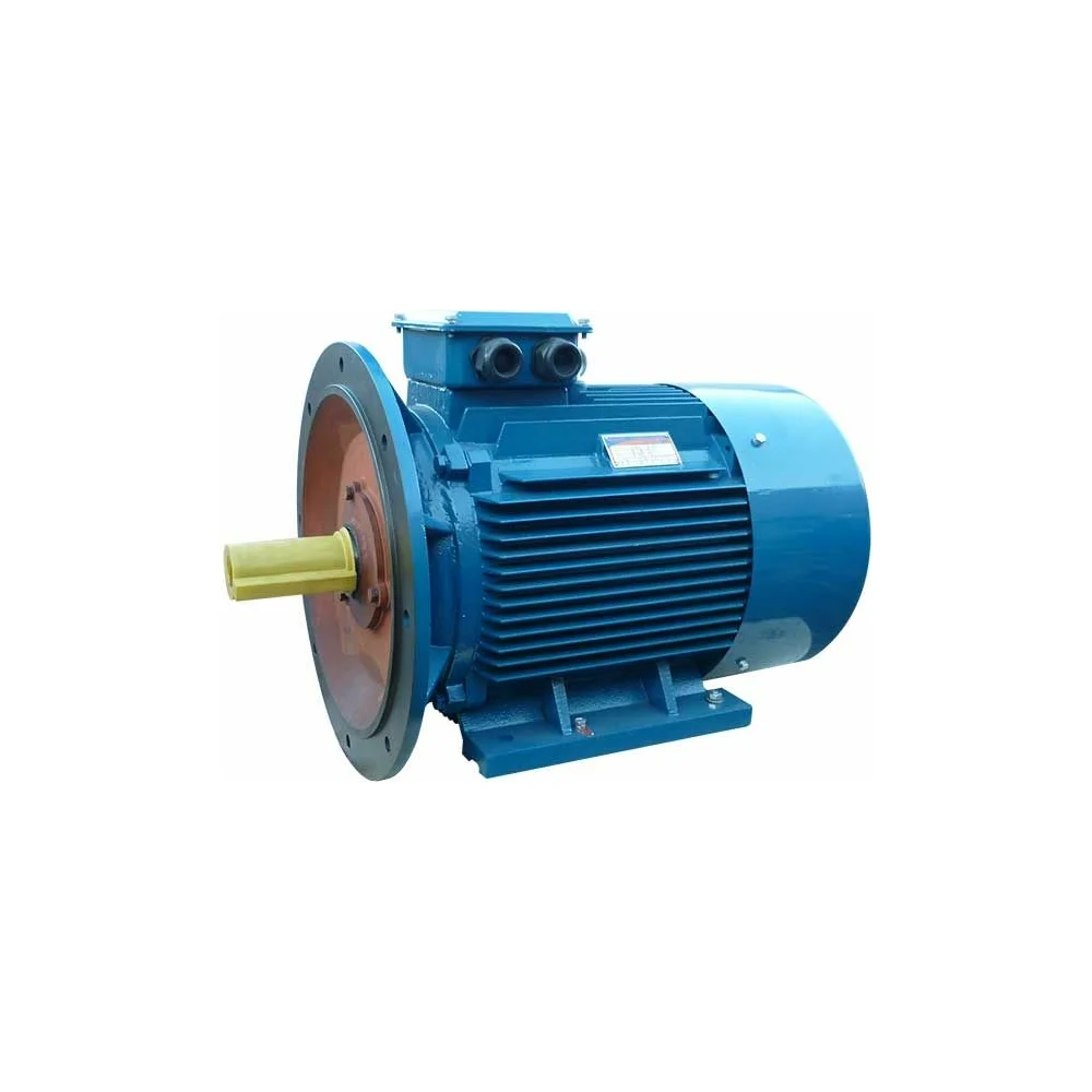 Электродвигатель 5АИ 225 М4 55/1500 IM 2001 01.01.213506