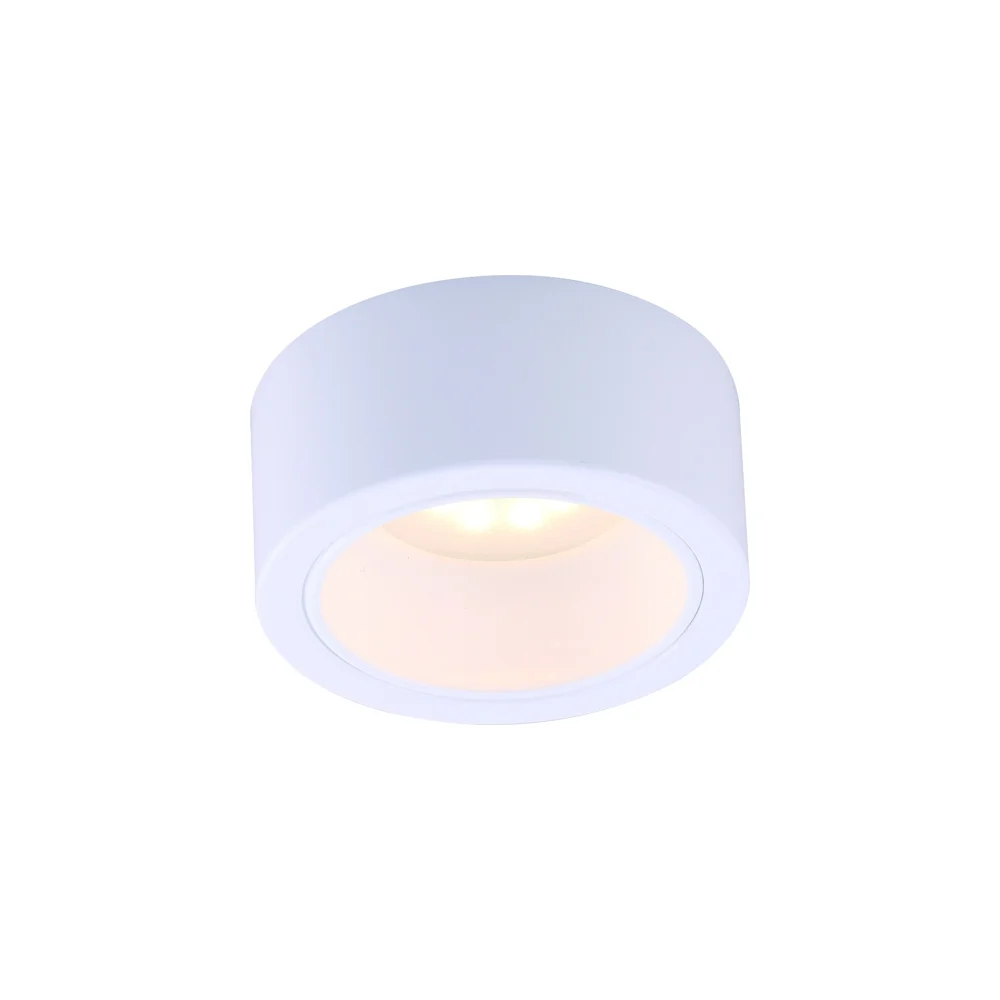 Потолочный светильник ARTE LAMP A5553PL-1WH