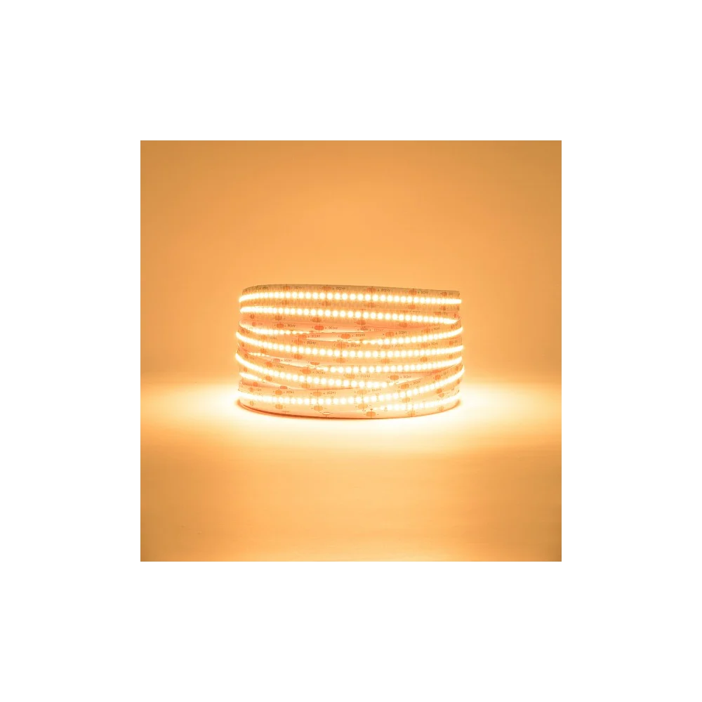 Лента светодиодная General Lighting Systems GLS-2835-240-19.2-12-IP20-3 501050