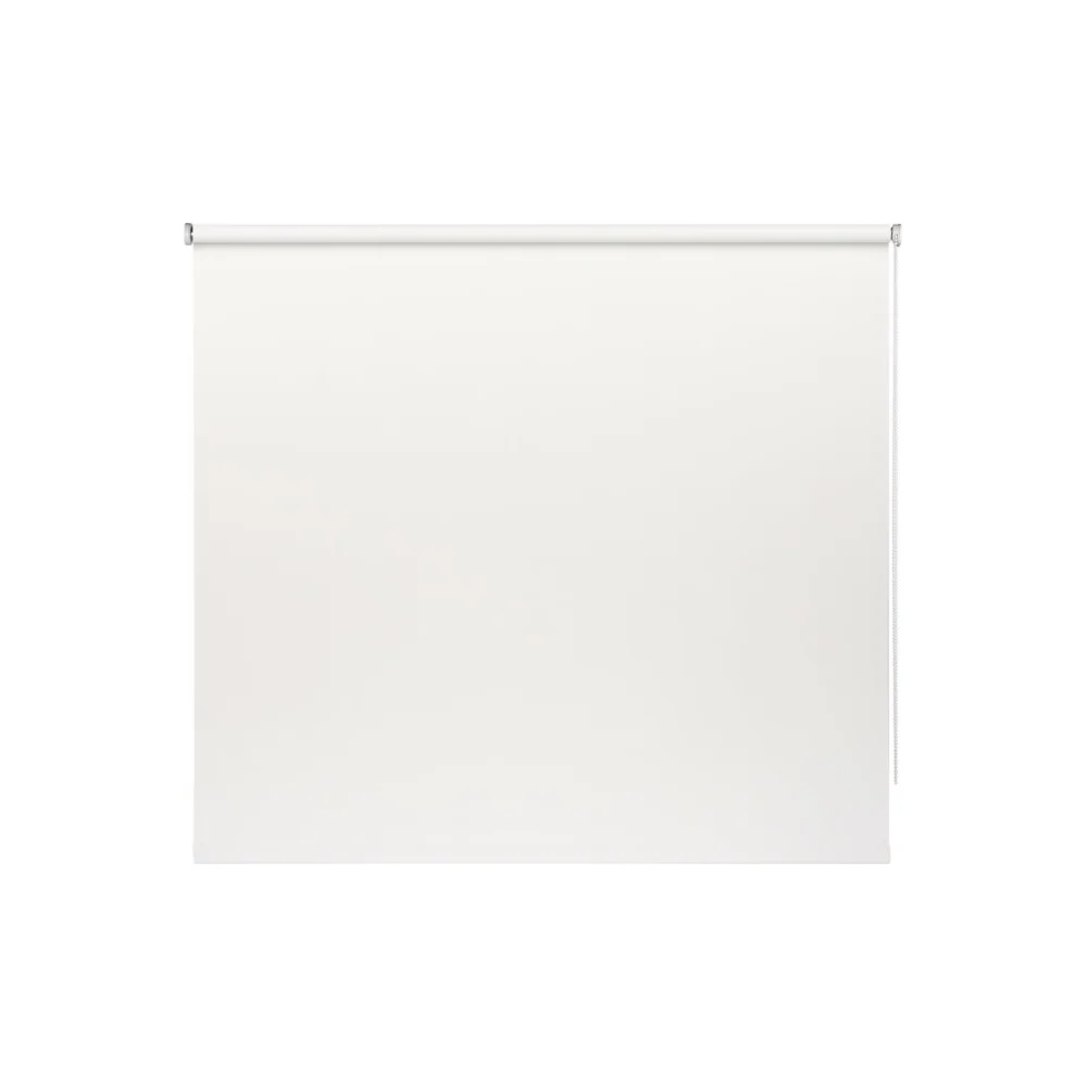 Рулонная штора PRAKTO Blackout Color 8310797