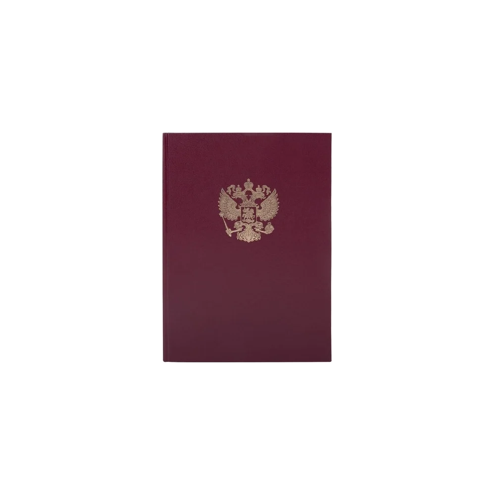 Книга учета BRAUBERG 130276