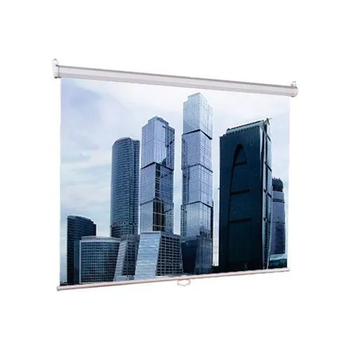 Экран Lumien Eco Picture LEP-100115, 274х206 см, 4:3, настенно-потолочный